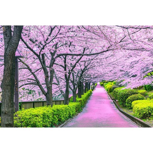 Toynk Cherry Blossom Bliss Tokyo Japan Puzzle | 1000 Piece Jigsaw