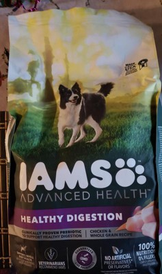 Iams probiotic 2024 dog food