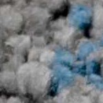 gray, blue, cream, sage, lightslate, mediumbrown