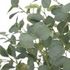 Artificial Eucalyptus Tree 4/5/6 FT Tall Faux Eucalyptus Stems Fake Plants with Silver Dollar Leaves, Fake Trees for Decor, with Plastic Nursery Pot - 4 of 4