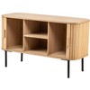 Nordlys 2-Door Solid Wood and Metal TV Stand Exotic Boho Living Room - 2 of 4
