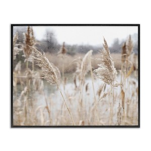 Stupell Industries Rural Pampas Grass Reeds Lakeside Pond Marsh Framed Giclee Art, Black, 14" x 11" - 1 of 4