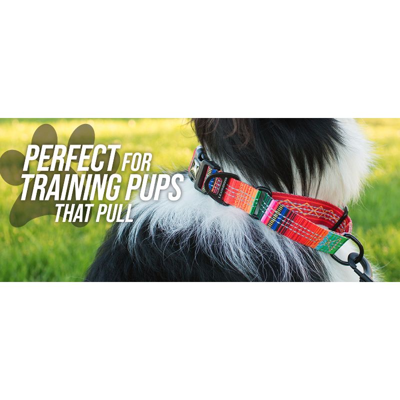 Leashboss Pattern Martingale Dog Collar, Reflective No-Pull Training Collar for Puppies and Dogs, 6 of 10