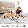 Modern Abstract Pattern Machine Washable Rug, Non-Slip, Non-Shedding, Low Pile Foldable Rug for Bedroom, Living Room and Game Room - 3 of 4