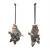 Snowy Cardinal Bird and Owl Ornament (Set of 12) - 3 of 4