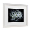 Trademark Fine Art - Brian Carson Backyard Flowers 51 Matted Framed Art - 3 of 4