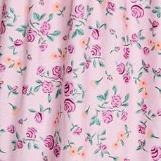 light pink rose