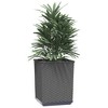 vidaXL Planter Set of 4 Black Polypropylene Medium Decorative Inlays - 3 of 4