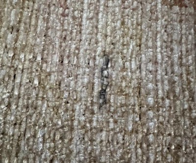 Guest review image 1 of 4, zoom in