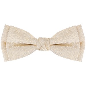 INSPIRE CHIC Men's Jacquard Adjustable Strap Pre-tied Bow Ties for Elegant Wedding - 1 of 4