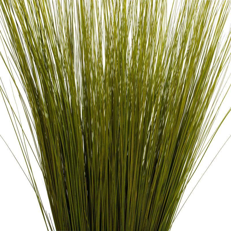 Vickerman Bright Grass, Dried, 3 of 6