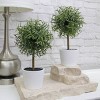2ct Faux Topiary Rosemary Plant with White Pot - Bullseye's Playground™ - image 3 of 4