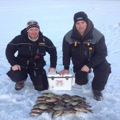 Engel 19 Quart Portable Insulated Live Bait Fishing Dry Box 32 Can Hard Airtight Cooler with Water Speed Aerator Pump and Removable Pull Net , White