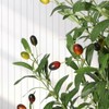 Tall Faux Olive Tree，5ft（60in） Tall Faux Olive Tree with White Planter and Green Fake Moss, 1 Pack - 3 of 4
