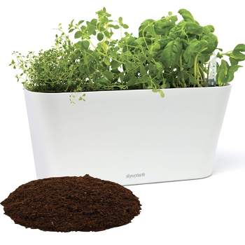 Window Garden Aquaphoric Herb Garden Tub Self Watering Planter Box with 6 Quarts Fiber Soil