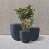 Rosemead Home & Garden 3pc Concrete Outdoor Planter Pot Black - 3 of 4