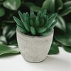 Unique Bargains Artificial Plants Mini Pulp Plastic Green 2.76"x2.76"x3.54" 1 Pcs - 2 of 4