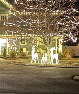 Guest review image 1 of 1, zoom in