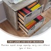 SinCiDo Farmhouse 2 Drawer File Cabinet, 30" Office Storage Cabinet w/Hanging Folders Holds A4 Letter Legal Files Size - 3 of 4