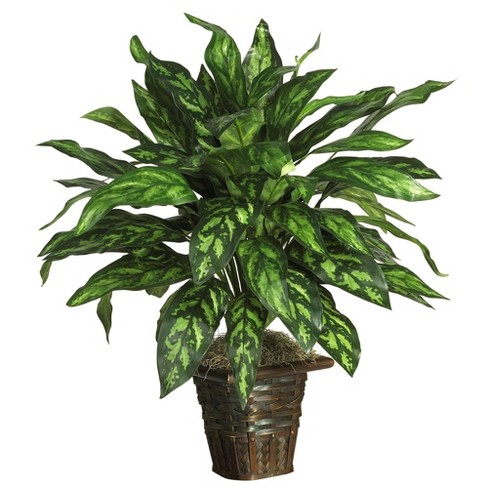 Nearly Natural 31-in Silver King W/basket Silk Plant : Target