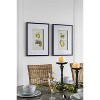 Set of 2 Smithsonian Fruit Framed Wall Arts - A&B Home: Transitional Decor, Vertical Orientation, Includes Mounting Hardware - 2 of 4