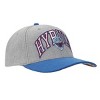 The Legend Of Zelda Hyrule Shield Gray & Blue Snapback Hat - 3 of 4