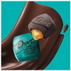 Dove Promises Candy Sea Salt And Caramel Dark Chocolate 6.74 oz - 4 of 4