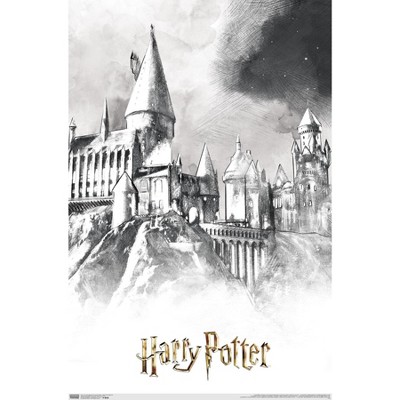 Trends International The Wizarding World: Harry Potter - Illustrated ...