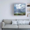 Trademark Fine Art - Patrick Dennis Shower Canvas Art - 2 of 4