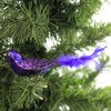 Old World Christmas 1.5 Inch Purple Martin Christmas Tree Ornament , Christmas Decor Ornament Clip On Bird (1PC) - 3 of 3
