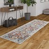 Acekool Area Rug Vintage Medallion Plush Non-Shedding Low Pile Stain Resistant Non Slip Accent Carpet for Living Room Bedroom - 3 of 4