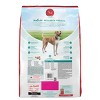 Purina ONE SmartBlend Natural Digestive & Probiotic Health Rice and Chicken Flavor Dry Dog Food - 2 of 4