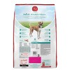 Purina ONE SmartBlend Natural Digestive & Probiotic Health Rice and Chicken Flavor Dry Dog Food - image 2 of 4