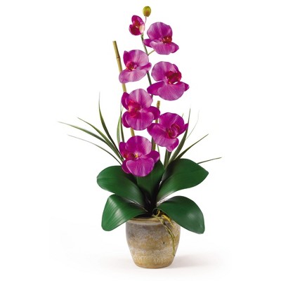 Dark Pink Silk Phalaenopsis Orchid in Ceramic Pot
