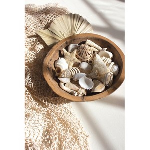 Beach-Inspired Coastal Filler – 9.45" Tall Natural Decor Set of 6 by Kalalou - 1 of 3