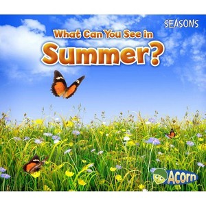 What Can You See in Summer? - (Seasons) by  Sian Smith (Paperback) - 1 of 1