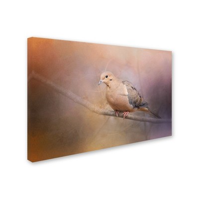 Trademark Fine Art -Jai Johnson 'Mourning Dove On A Winter Evening' Canvas Art