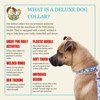 Country Brook Petz Deluxe Dog Collar - Critter Corner Collection - Made In The U.S.A. - 4 of 4