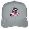 Gender Neutral Official Lenoir-Rhyne University Primary Logo Foam Snapback Trucker Hat - for Men and Women Grey Grey One Size - 2 of 4