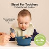 2-Pack Prep Baby Bowls with Suctions & Lids, Silicone Bowls for Baby Boy, Girl, Toddler Suction Bowl, Kids Bowl BPA-Free - 3 of 4