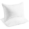 Dr. Pillow BackHome Pillow 7 in 1 Bacteria Protection and Cooling Pillow (2 Set ) - 4 of 4