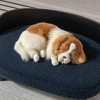 SEVOBAL Pet Beds Scandinavian Style Elevated Dog Sofa with Solid Wood Legs Velvet Cushion for Living Room, Blue, 26.6"*17.6"*9" - 3 of 4