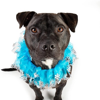 Medium Blue Tulle Dog Collar with Silver Snowflakes