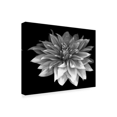 Trademark Fine Art -Susan S. Barmon 'Perfect Dahlia 1 Black And White' Canvas Art