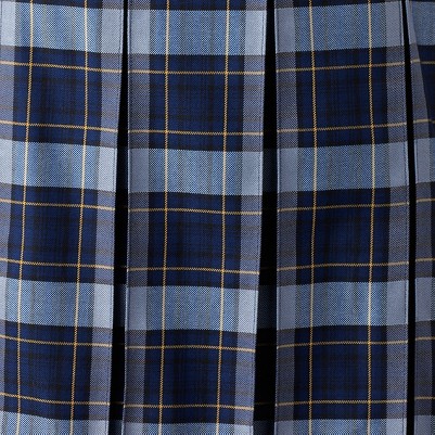 classic navy plaid