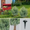 GAOMON 30" Artificial Cypress Topiary Ball Trees with Ground Spike, Set of 2 Artificial Shrubs Bushes Fake Evergreen Plants - 4 of 4