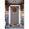 Liora Manne Frontporch Garden Indoor/Outdoor Rug.. - 4 of 4