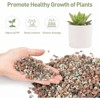 2.5lbs Lava Rocks for Plants 1/5 Inch Pea Gravel for Succulent, Pots Indoor, Terrarium, Cactus - 3 of 4