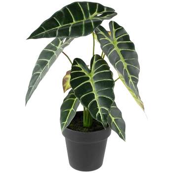 Northlight Real Touch™ Artificial Taro Plant in Black Pot 18"