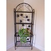 62.4" Plant Stand Baker Shelf Sun Valley - Oakland Living - 3 of 3